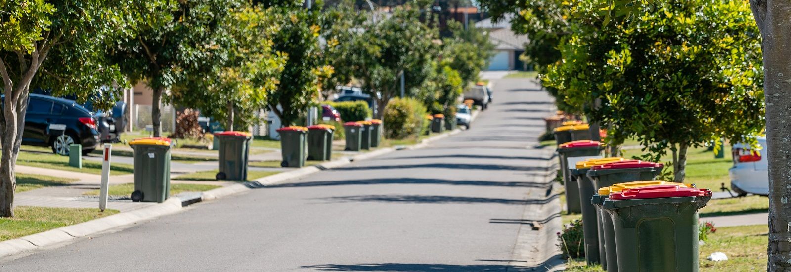 Bins on road side banner image