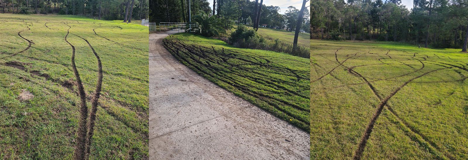 Damage caused by motorbikes to grass at Boomerang Park Raymond Terrace banner image