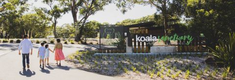 International cruise visitors to explore Port Stephens Koala Sanctuary