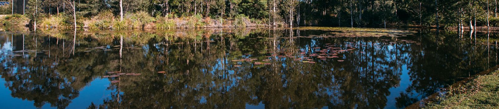 Image of a landscape with an overflowing lake in the front  banner image