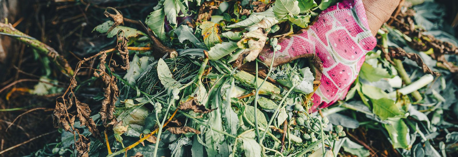 gloved hands picking up dried leaves and green waste banner image